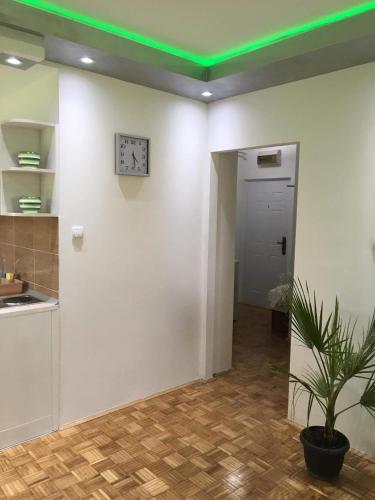 GREEN DREAMS in Banatić