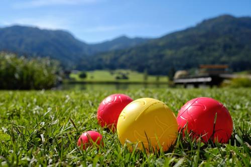 See Hotel Kärntnerhof- das Seehotel am Weissensee!