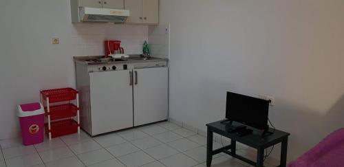 Zinovia - image 7