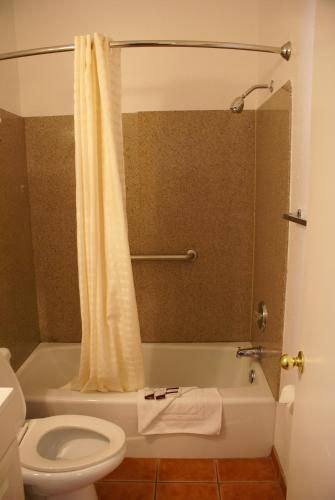 Harborview Inn & Suites-Convention Center-Airport-Gaslamp-Seaworld-Zoo-Balboa Park in San Diego, USA