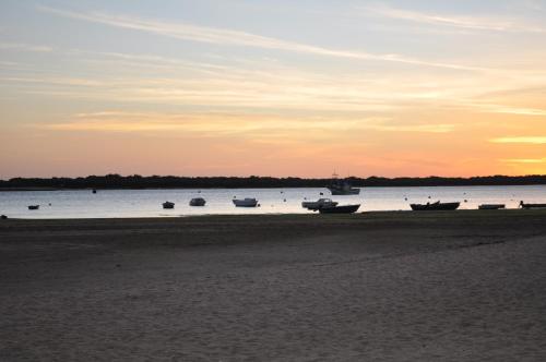 Apartamentos en Paseo Maritimo