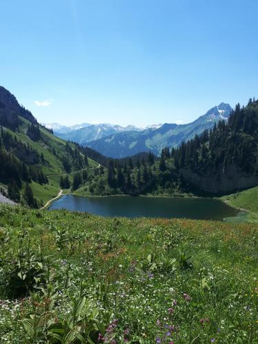 Triolet in La Chapelle-d'Abondance