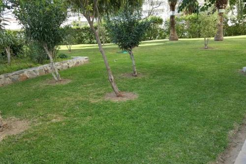 STUDY NEAR MALAGA AND THE BEACH, Málaga (photo 4)