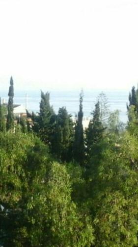 STUDY NEAR MALAGA AND THE BEACH, Málaga (photo 2)
