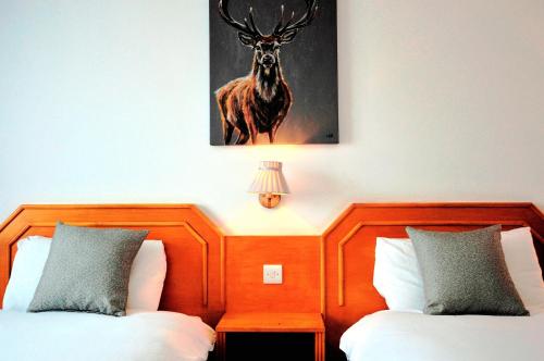 Days Inn Hamilton - image 8