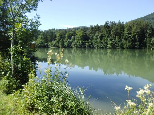 Atpūtas iespējas, Appartement Draublick in Neuhaus (Carinthia)