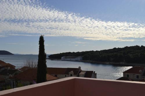  Apartments Nanini, Unterkunft in Prvić Luka