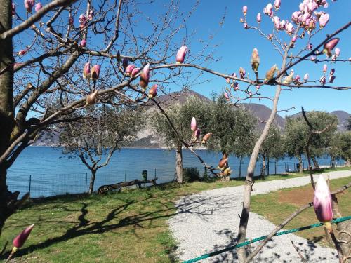 Camping Olivella Iseo