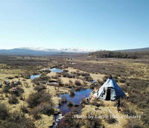 a small hut in the middle of a grassy field, Top Tour & Guesthouse Mongolia in Ulaanbaatar