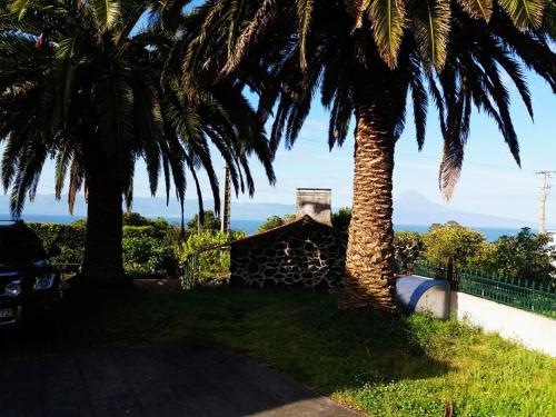  Palm Trees House in Manadas