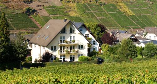 Ferienhaus Zenz - Ferienwohungen - Apartment - Ernst