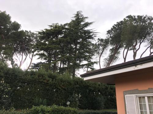VillaGiò B&B - image 7