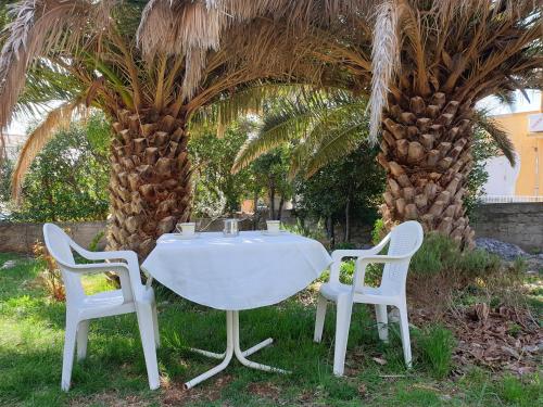  Apartments ALEXA in Novalja