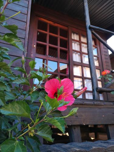 The Guesthouse The Guesthouse