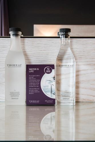 Aura Hotel Adults Only - image 11