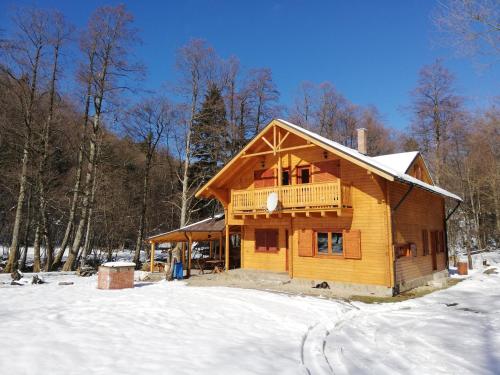 Chalet by the river, Văliug (Foto 2)