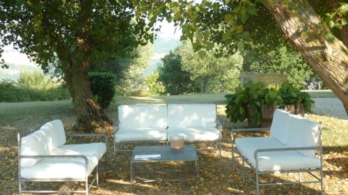 Kert, Casale Oliva in a landscape of oaks, olive e cherry trees in Santa Vittoria in Matenano