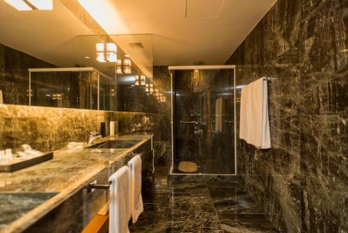 圣路易斯鲁泽洛斯酒店 圣路易斯鲁泽洛斯酒店