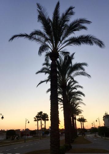 Zeer trendy penthouse op de Mar Menor Golf & Padel Resort