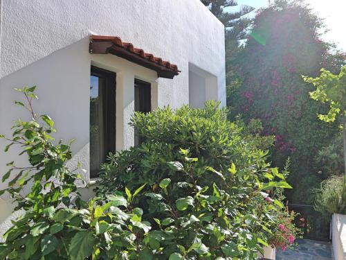 Oliaria Apartments - image 8