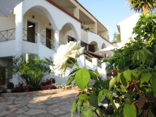  Aloe Villa in Syvota