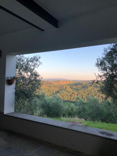 Alle Montanine Sughera, Florence (photo 7)
