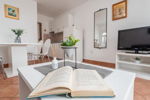 Vesna 1 city central apartment