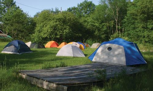 D Acres Farm - Campground - main image