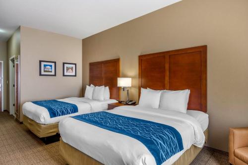 Comfort Inn South Chesterfield - Colonial Heights - image 5