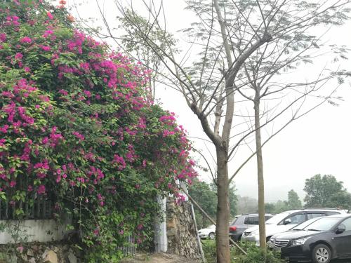 Tự Viện Xanh Villa Tự Viện Xanh Villa