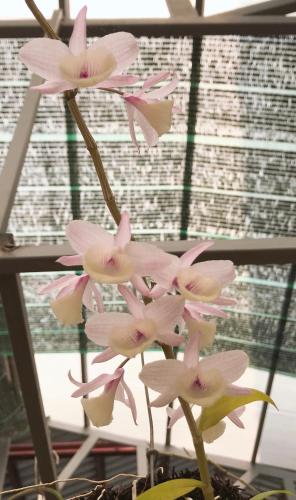 Hue Homestay Riverside – Hue