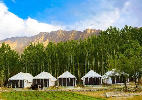 Terrain Ladakh Camping Hundar