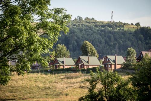 Domki Krótki Szpic - image 10