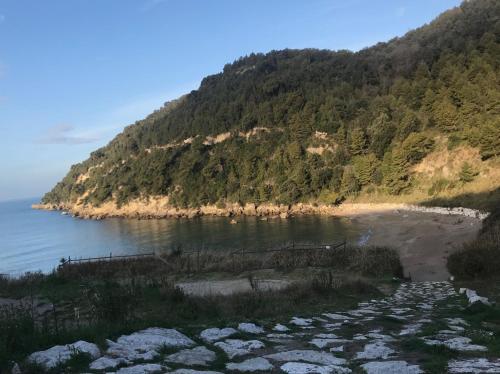 Livingapple Beach 3