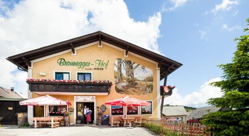  Braunegger-Hof Gasthof Mayer, Pension in Braunegg bei Ysper
