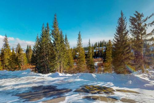 Buffalo Ridge Condos in Silverthorne, USA