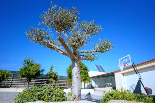  Pátio do Rabisco in Vilamoura
