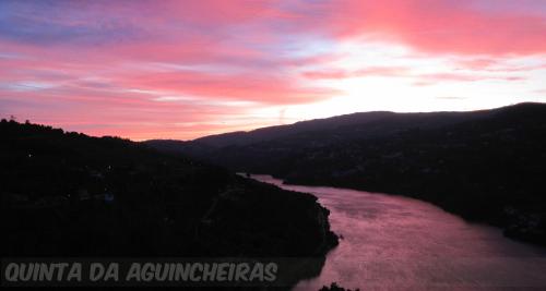  Quinta das Aguincheiras in Ancede