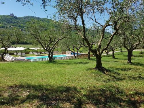  Il Vecchio Gelso - Agriturismo Rimini Montefiore Conca, Montefiore Conca bei Mulazzano