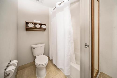 Holiday Inn Express Chicago Northwest-Vernon Hills by IHG in Vernon Hills, USA