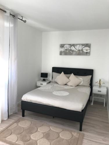 Roanne-centre appartement