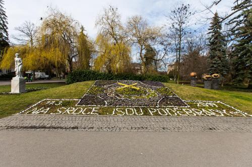 Penzion Alfa Poděbrady - image 7