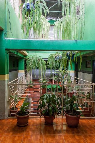 Hotel Landivar Zona 7 in Zone 7