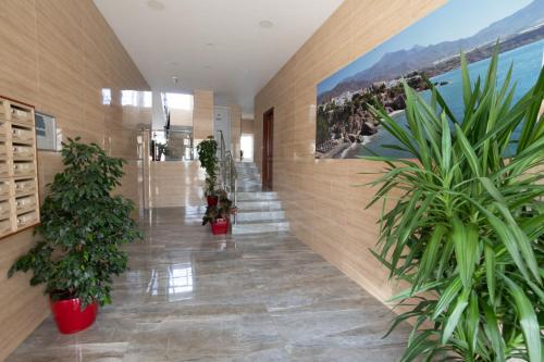 Edf. Gaviota 3º2 - image 11