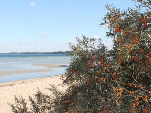 Ferienhaus mit eingezaeuntem Garten Ferienhaus mit eingezaeuntem Garten