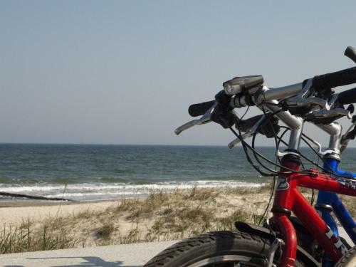 Ferienhaus mit eingezaeuntem Garten Ferienhaus mit eingezaeuntem Garten