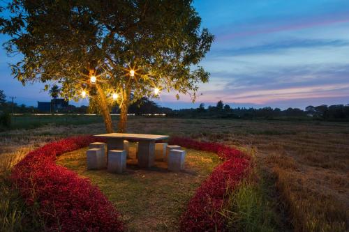 Kubura Resort – Anuradhapura, IA
