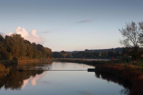 Carrigaline Court Hotel & Leisure Centre - image 12