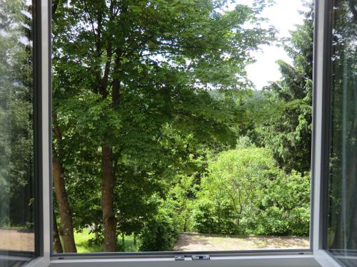 Pension & Ferienwohnung Oberhof 810 M, Oberhof (photo 2)