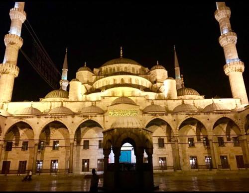 Aslan Home Apart - image 3